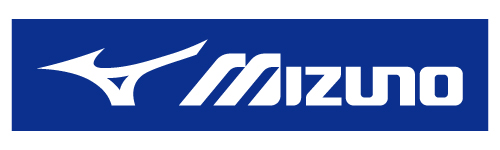 �ߥ��γ������